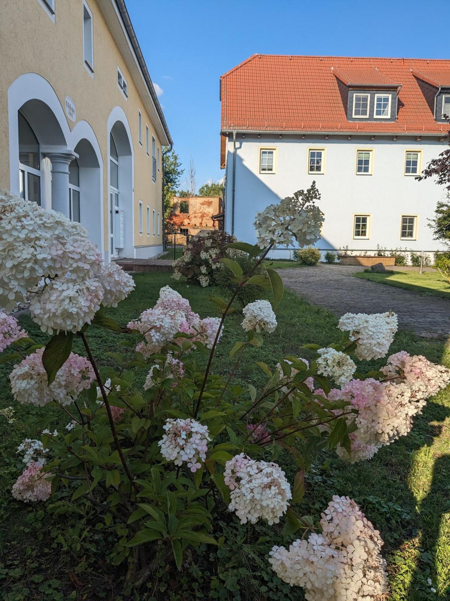 Hof Gruebler Apartman Klipphausen Kültér fotó